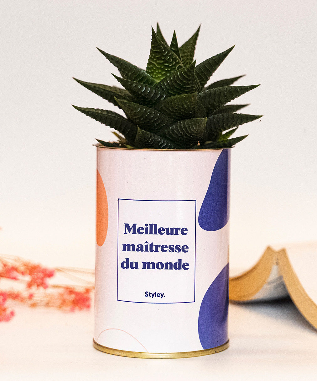 Meilleure maîtresse du monde - Cactus