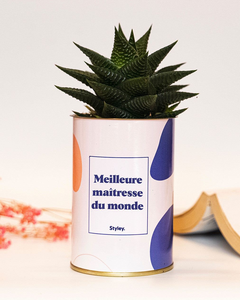 Meilleure maîtresse du monde - Cactus