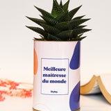 Meilleure maîtresse du monde - Cactus