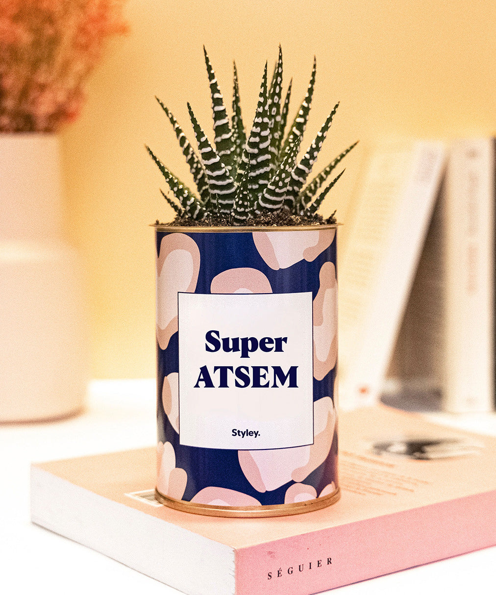 Super ATSEM - Cactus