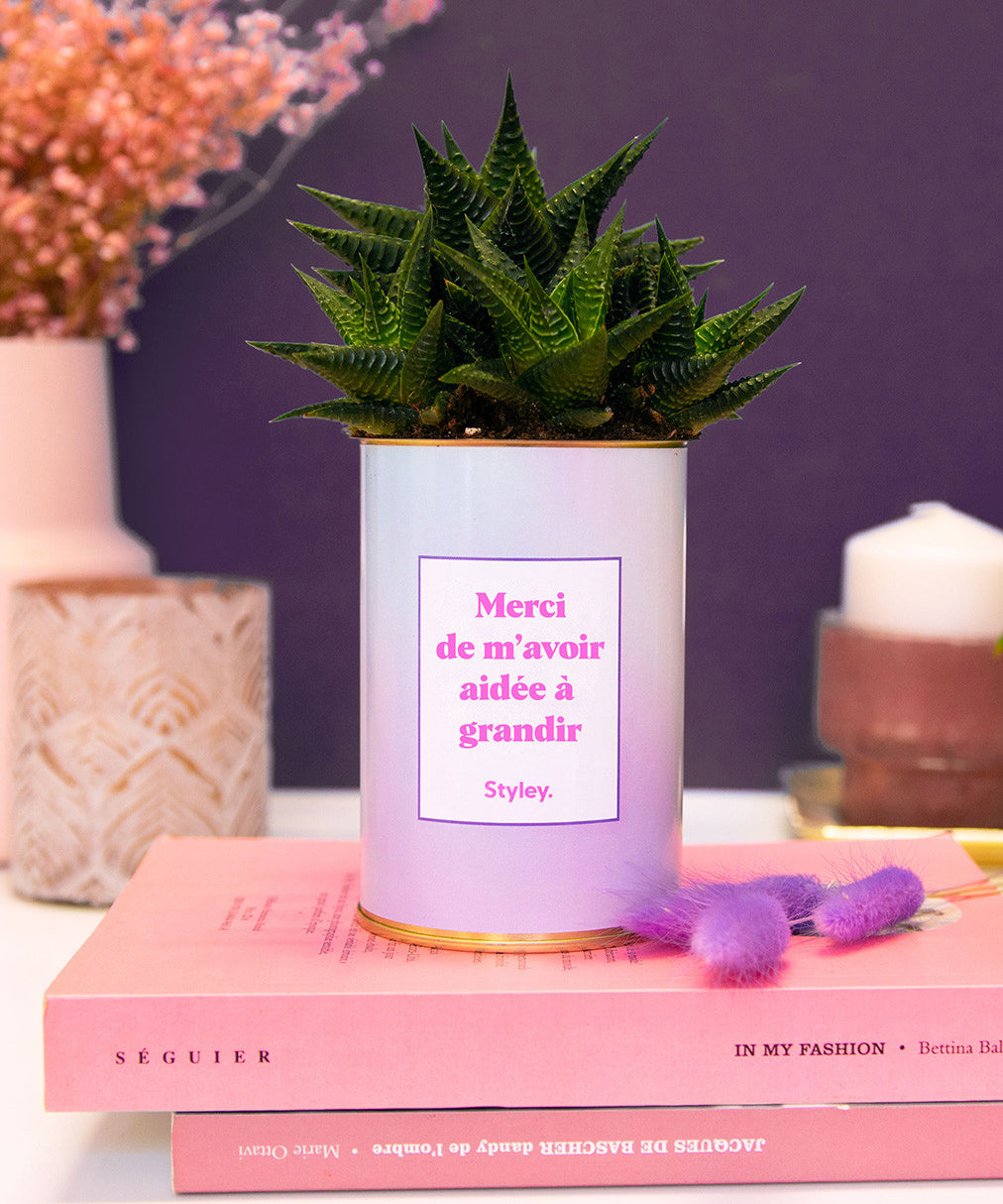 Merci de m'avoir aidée à grandir - Cactus