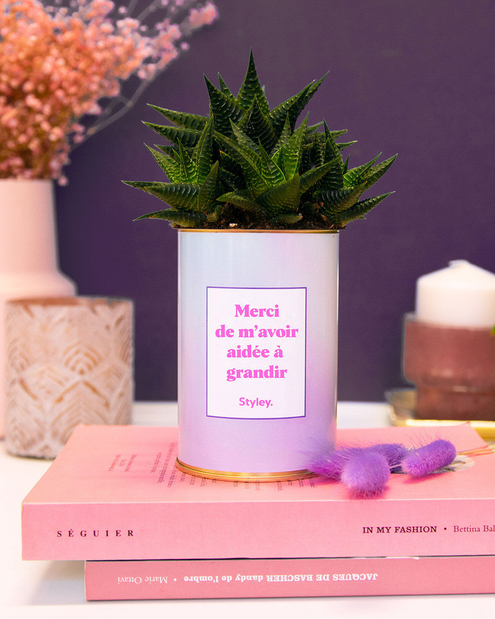 Merci de m'avoir aidée à grandir - Cactus