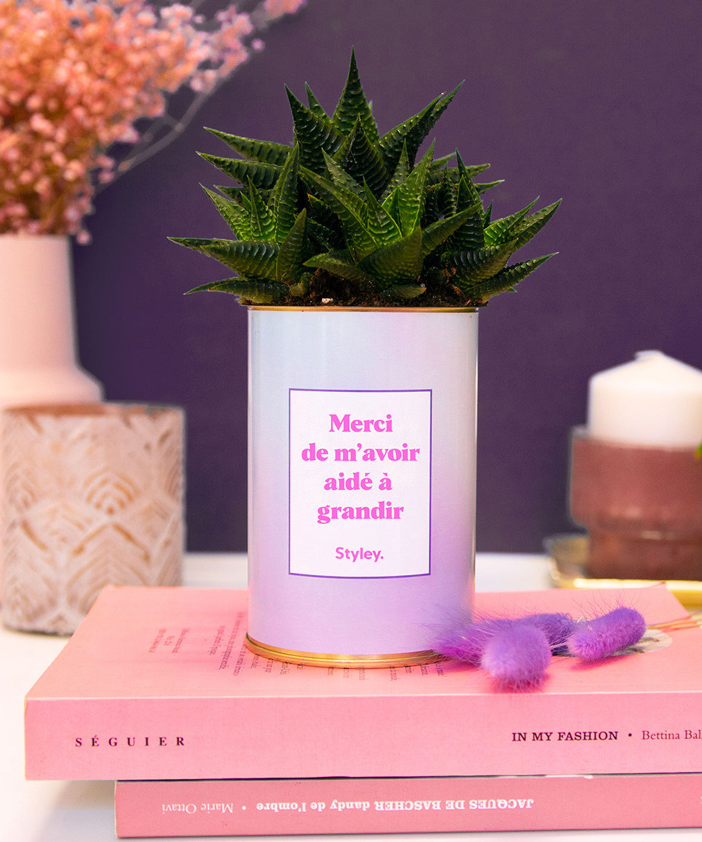 Merci de m'avoir aidé à grandir - Cactus