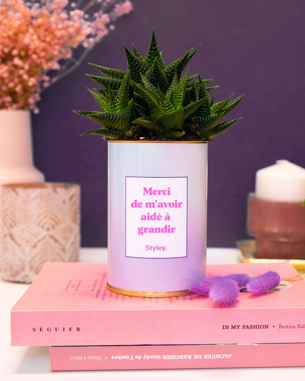 Merci de m'avoir aidé à grandir - Cactus