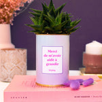 Merci de m'avoir aidé à grandir - Cactus