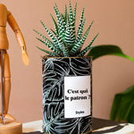 C'est qui le patron ? - Cactus