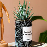 C'est qui le patron ? - Cactus