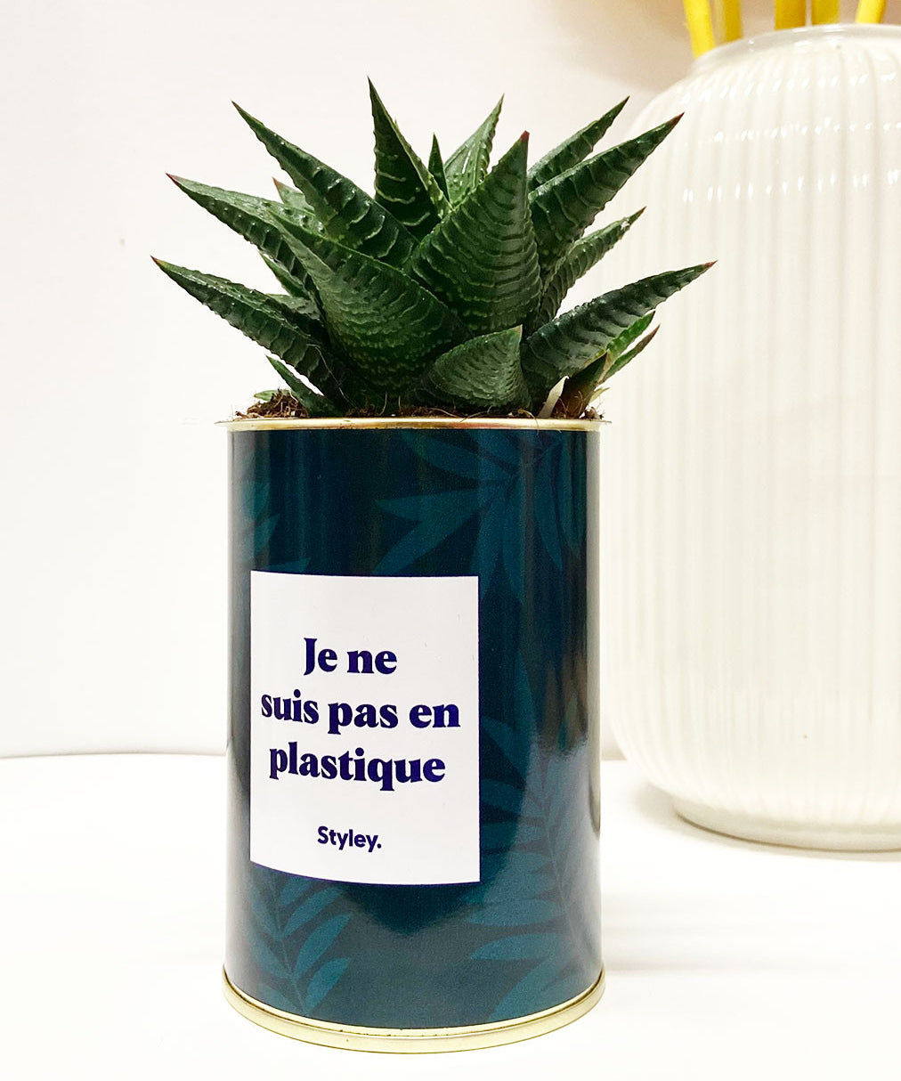 Je ne suis pas en plastique - Cactus