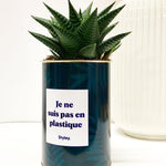 Je ne suis pas en plastique - Cactus