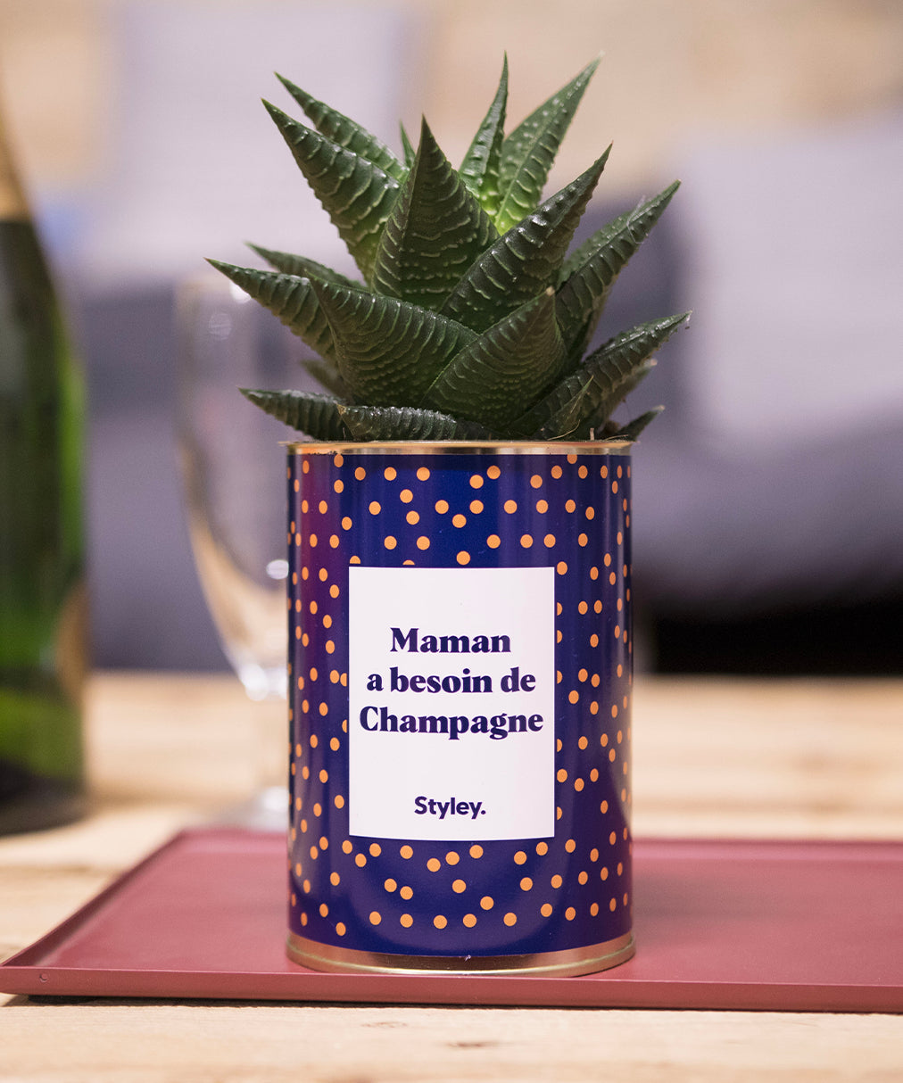 Maman a besoin de champagne - Cactus