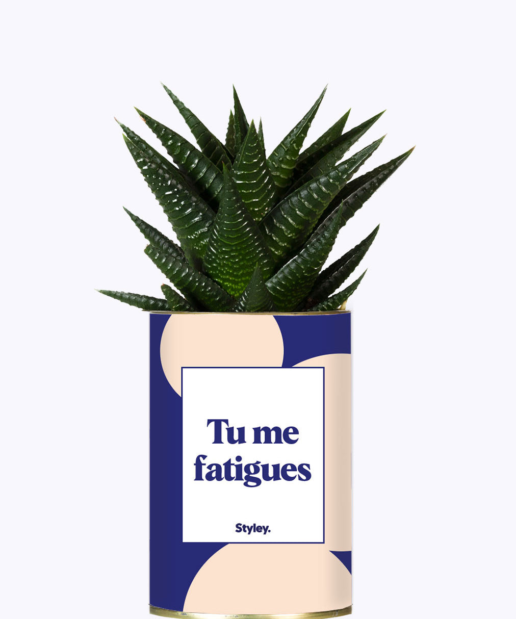 Tu me fatigues - Cactus