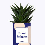Tu me fatigues - Cactus