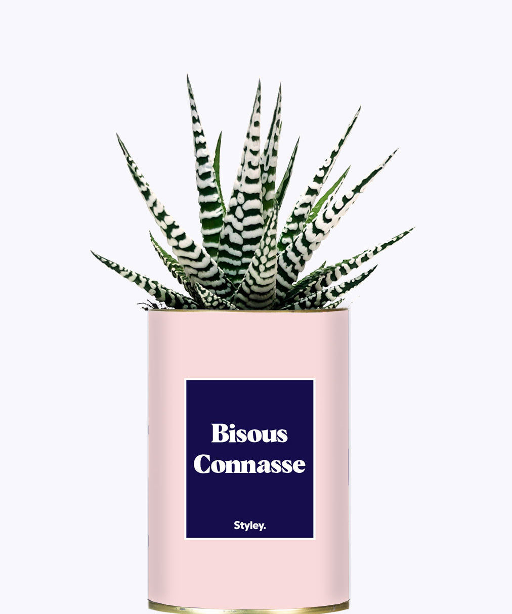 Bisous Connasse - Cactus