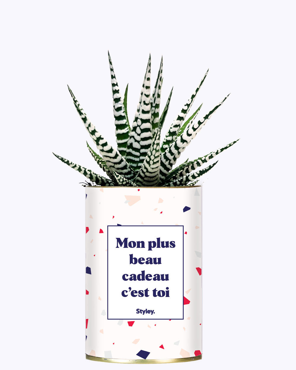 Mon plus beau cadeau c'est toi - Cactus