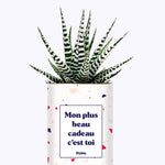 Mon plus beau cadeau c'est toi - Cactus