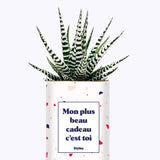 Mon plus beau cadeau c'est toi - Cactus