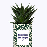 Ton micro est coupé - Cactus