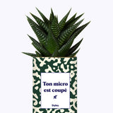 Ton micro est coupé - Cactus