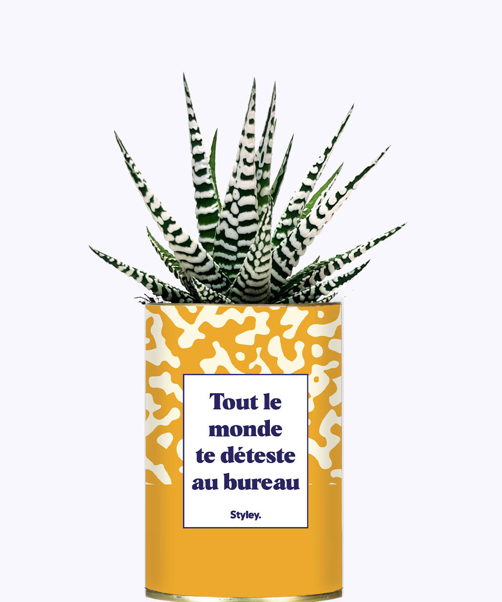 Tout le monde te déteste au bureau - Cactus