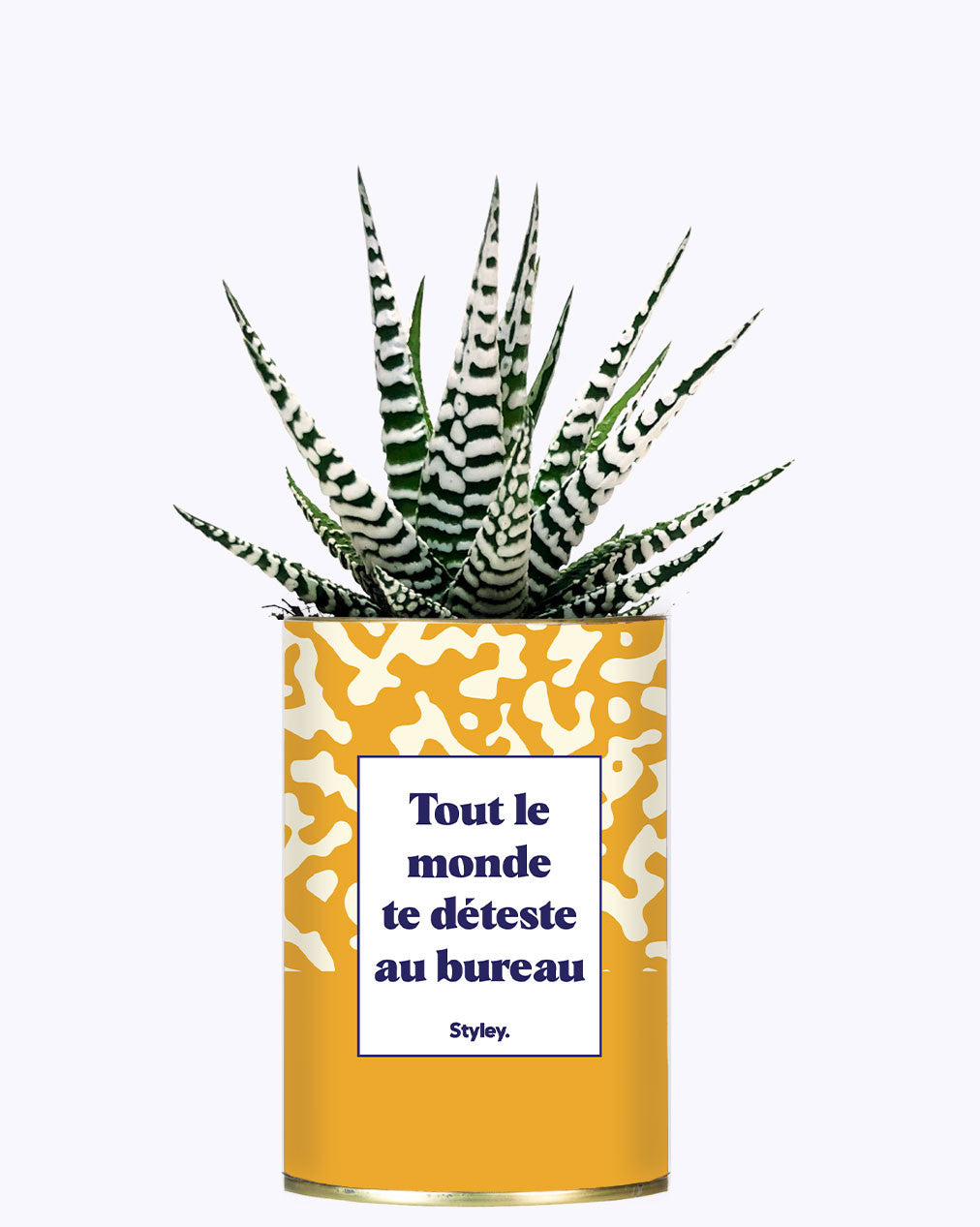 Tout le monde te déteste au bureau - Cactus