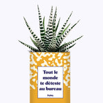 Tout le monde te déteste au bureau - Cactus