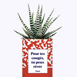 Pour tes congés, tu peux rêver - Cactus