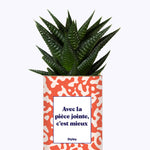 Avec la pièce jointe  - Cactus