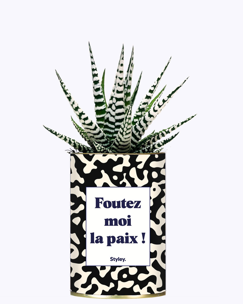 Foutez moi la paix  - Cactus