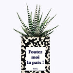Foutez moi la paix  - Cactus
