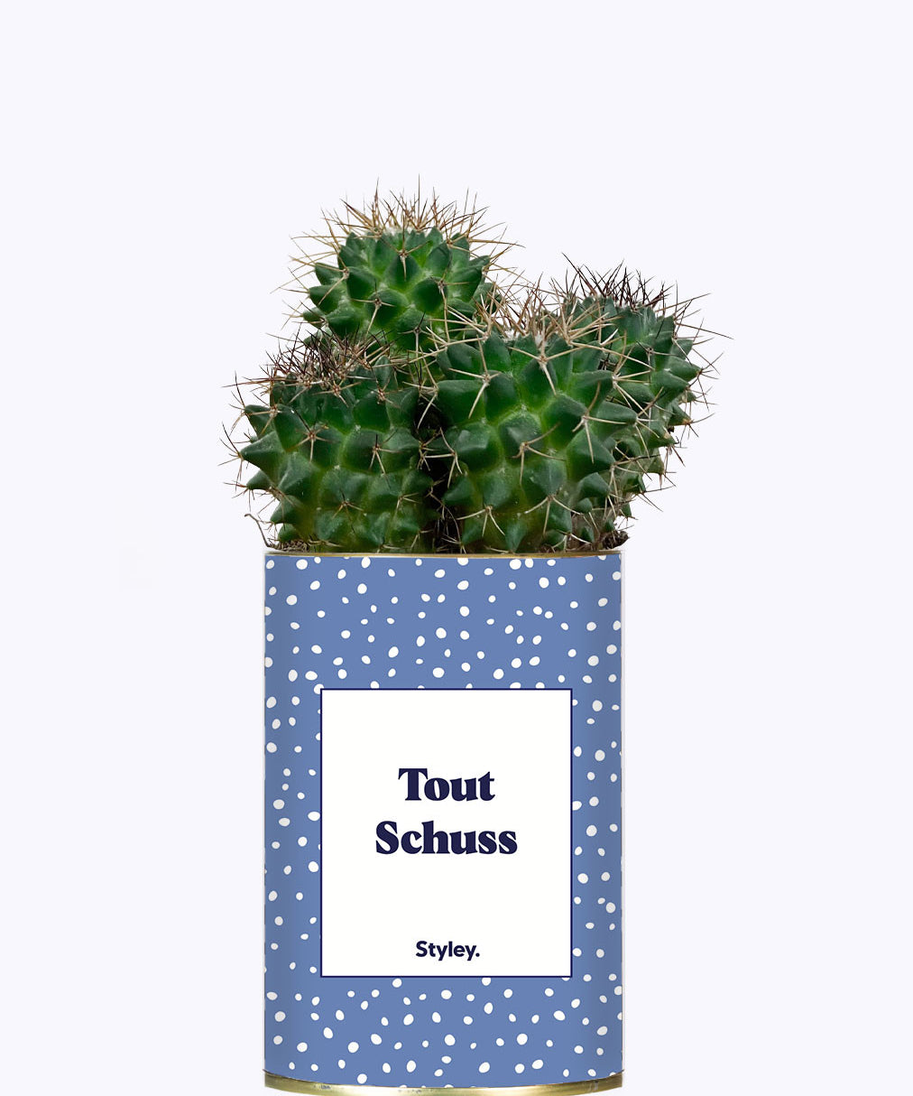 Tout Schuss - Cactus