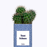 Tout Schuss - Cactus