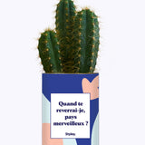 Quand te reverrais-je pays merveilleux ? - Cactus