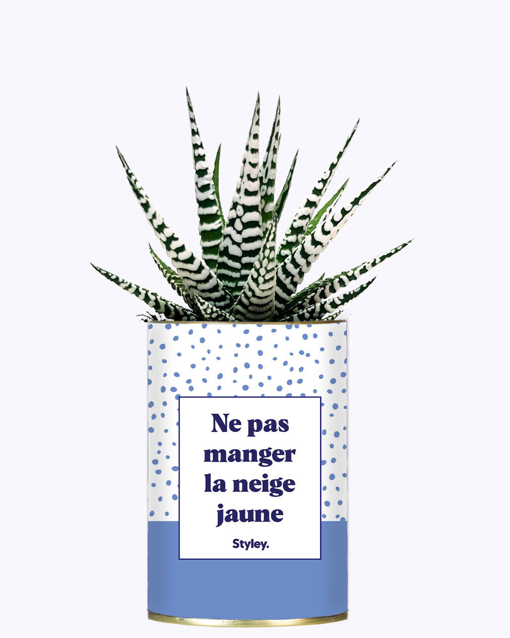 Ne pas manger la neige jaune - Cactus