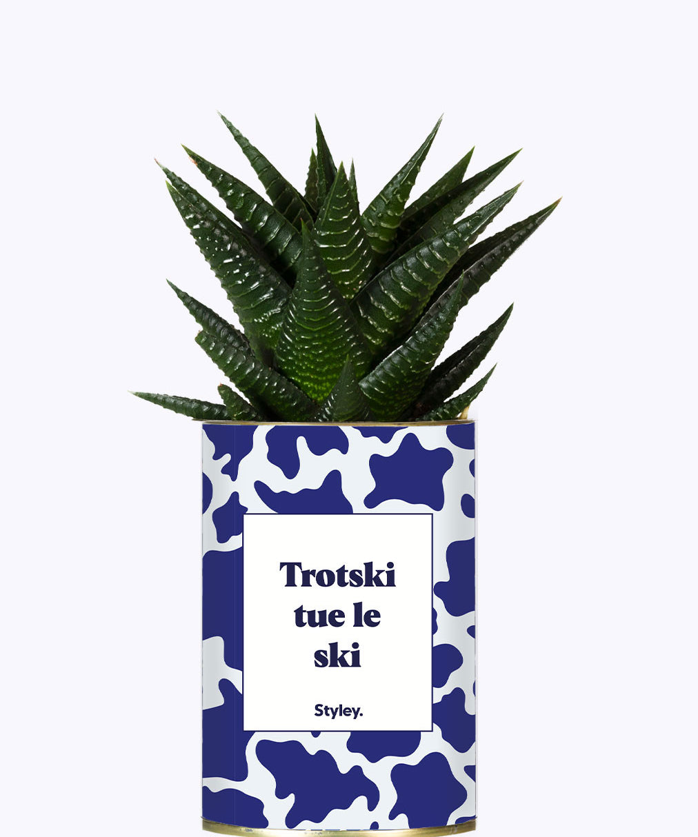 Trotski tue le ski - Cactus