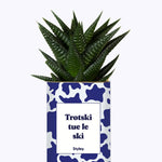 Trotski tue le ski - Cactus
