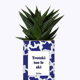 Trotski tue le ski - Cactus