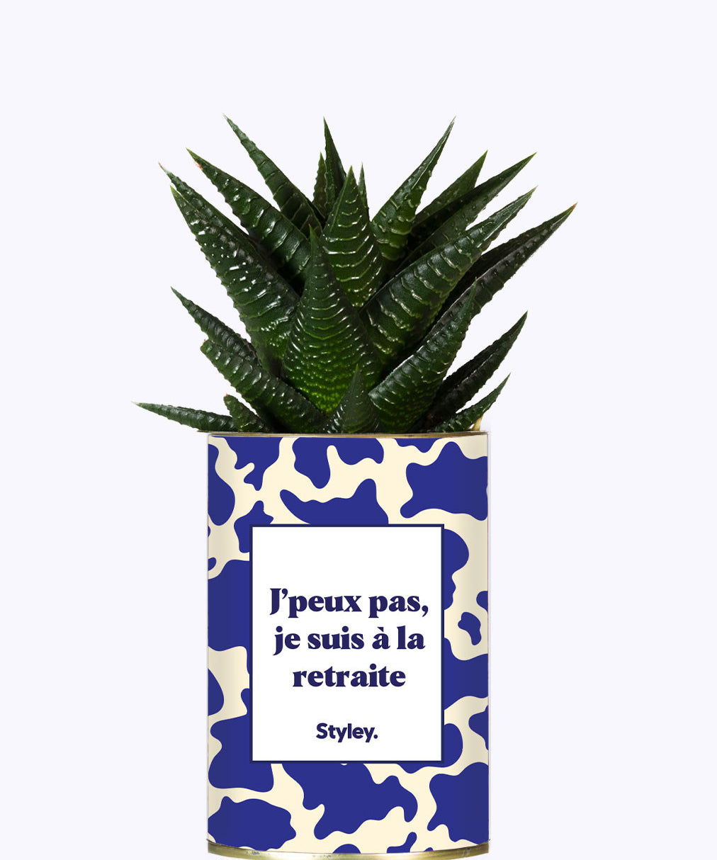 J'peux pas, je suis à la retraite - Cactus