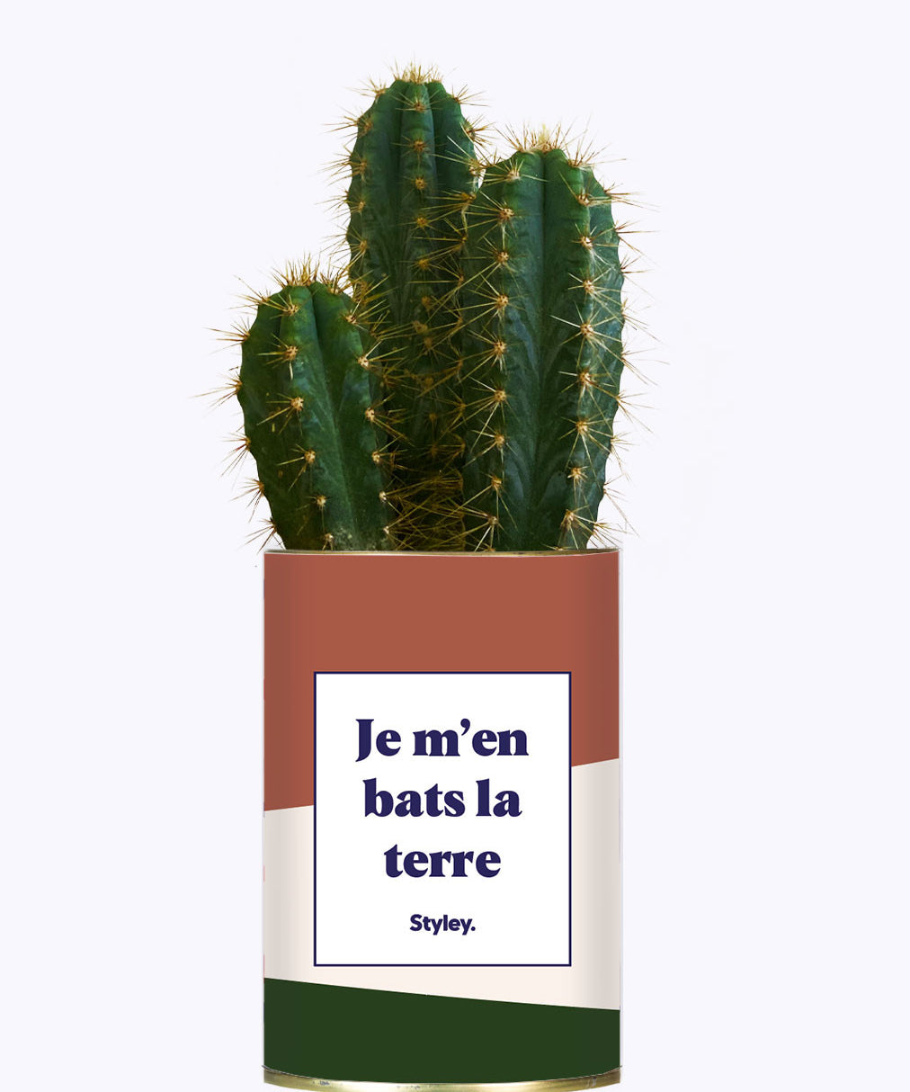 Je m'en bats la terre - Cactus