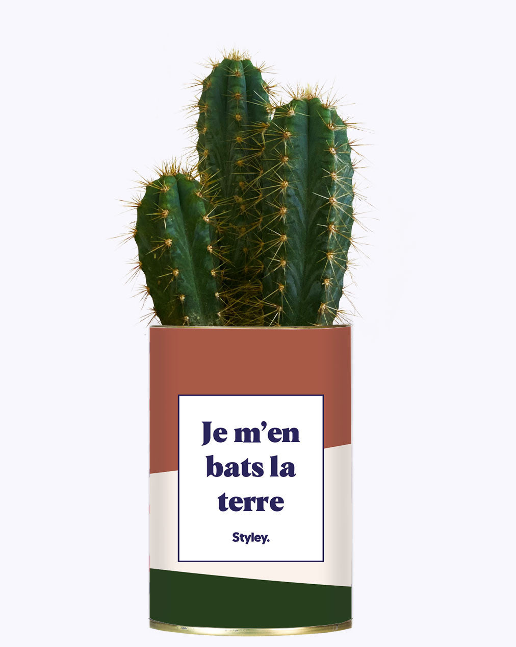 Je m'en bats la terre - Cactus