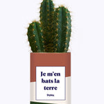 Je m'en bats la terre - Cactus