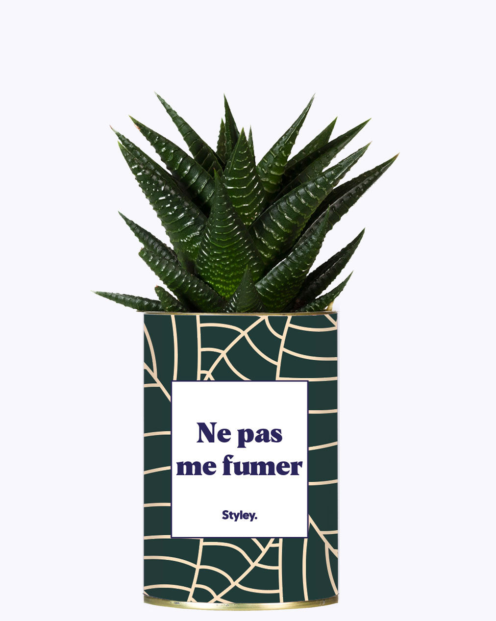Ne pas me fumer - Cactus