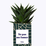 Ne pas me fumer - Cactus