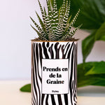 Prends en de la Graine - Cactus