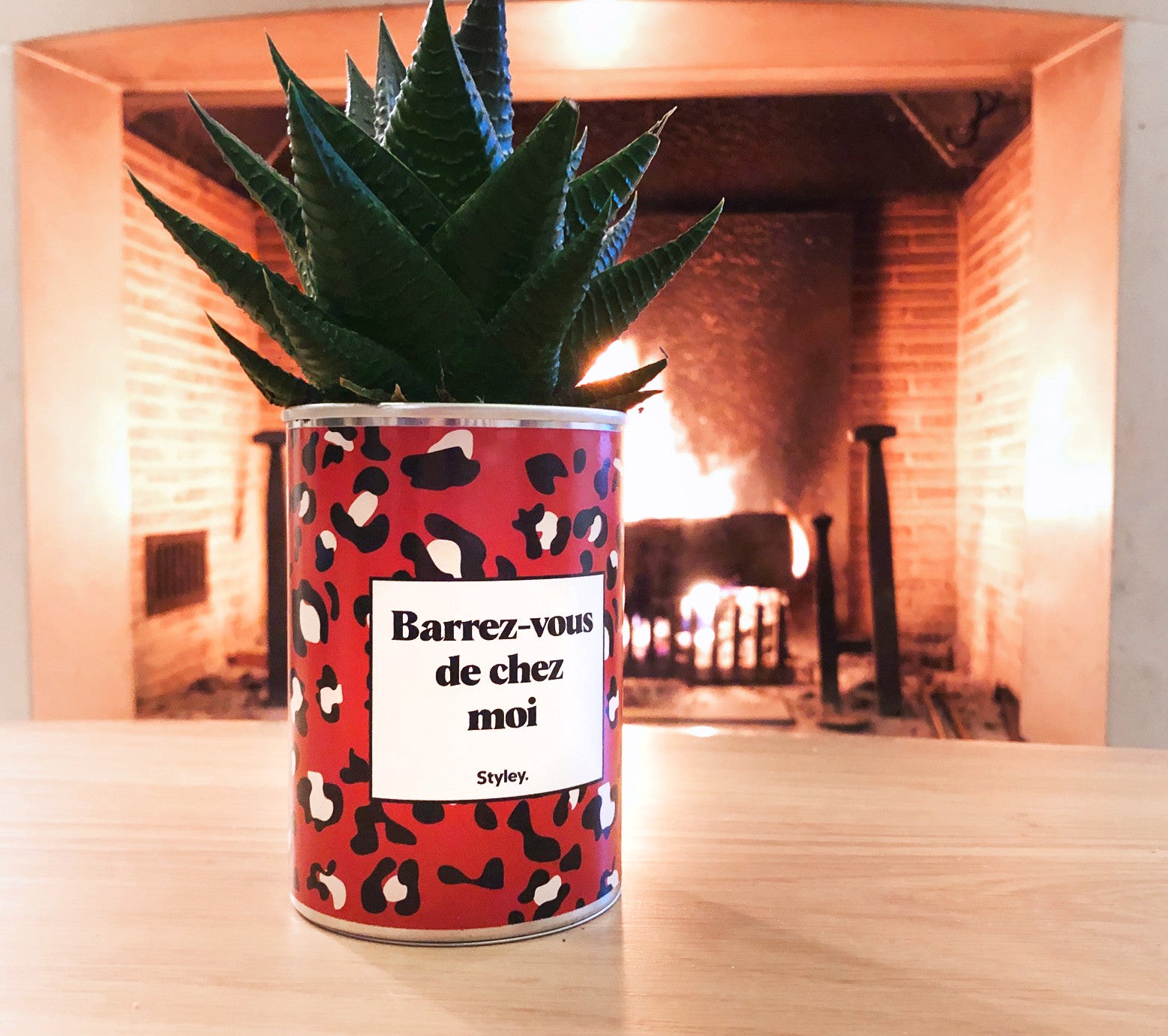 Barrez-vous de chez moi - Cactus