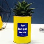 Me fais pas crever - Cactus