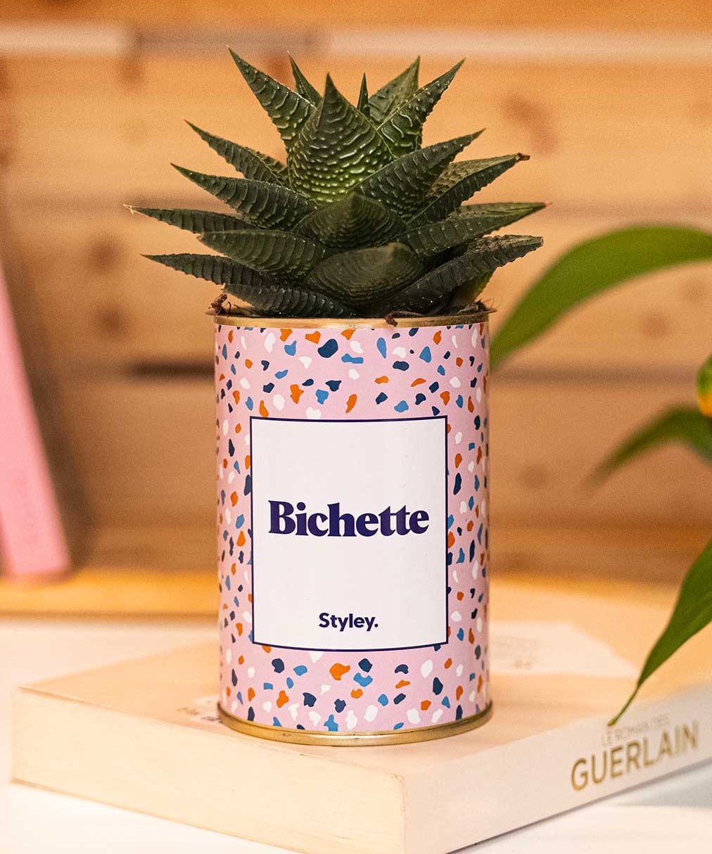 Bichette - Cactus