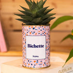 Bichette - Cactus