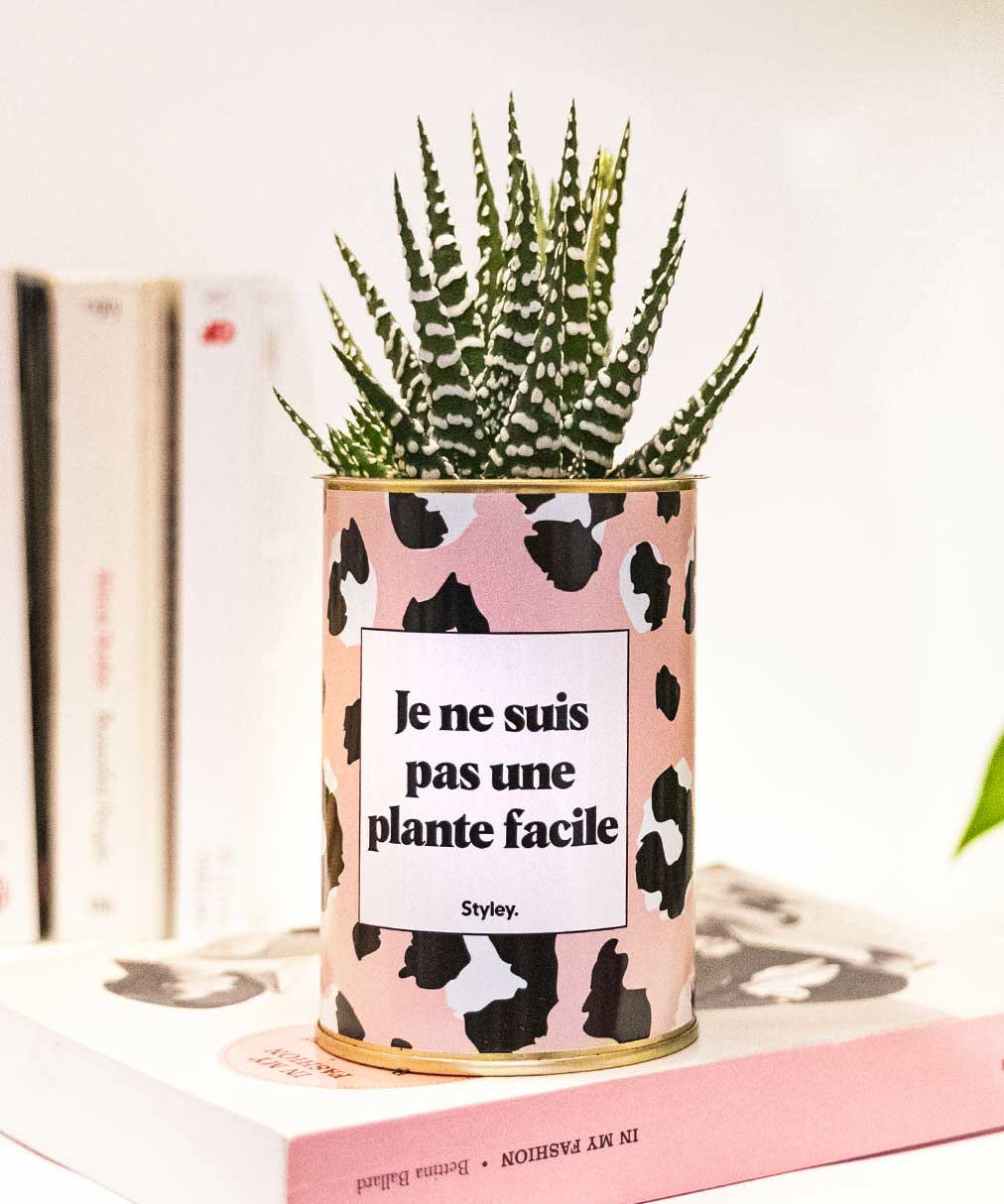 Je ne suis pas une plante facile - Cactus