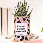 Je ne suis pas une plante facile - Cactus