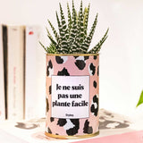 Je ne suis pas une plante facile - Cactus